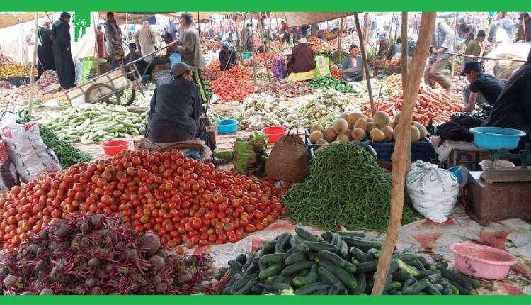 تقرير صادم للمندوبية السامية للتخطيط حول وضعية السر المغربية