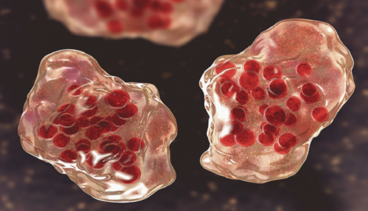 العلماء يحذرون من "وباء كبير" قد يكون "الأكثر فتكا" بتاريخ البشرية!