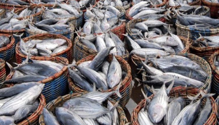 تارودانت..ظروف كارثية بمحيط السمك تثير سخط الغيورين على الشأن المحلي