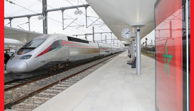 المحكمة الإدارية : تأجيل البت في وفاة طفل بمحطة للقطار