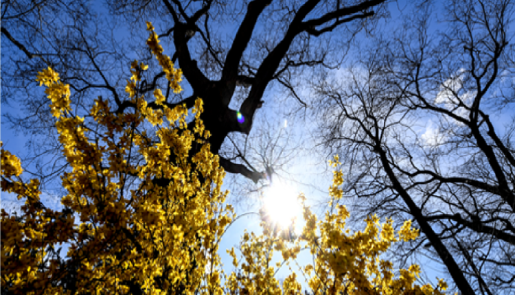 أحوال الطقس ليوم الخميس