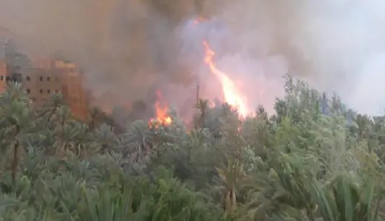 تنغير : حريق ضخم يلتهم واحة تودغى