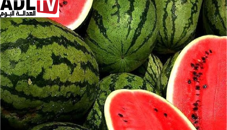 المغرب يصدر البطيخ الأحمر الإسبانيا رغم الجفاف