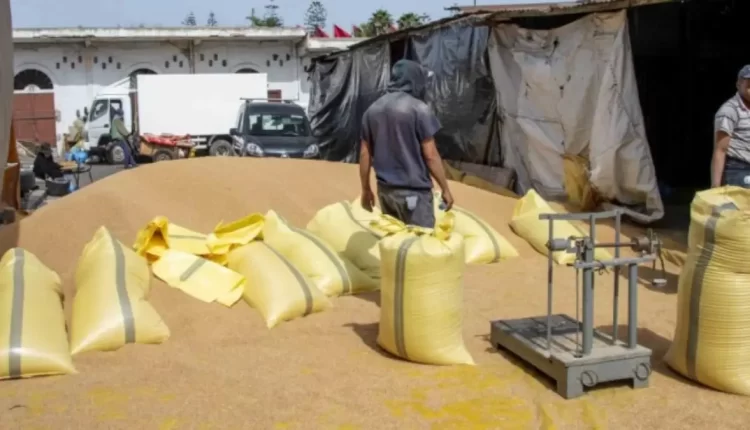 التلاعب بالمنتجات المدعمة في المغرب: العقوبات القانونية والتداعيات