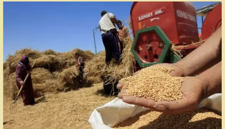 دعم الدولة الموجه لاستيراد السكر و القمح