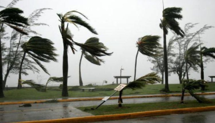 نشرة إنذارية