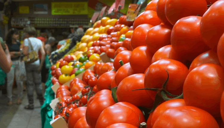 المغرب يسجل زيادة في صادرات الطماطم بنسبة 16% خلال 2024