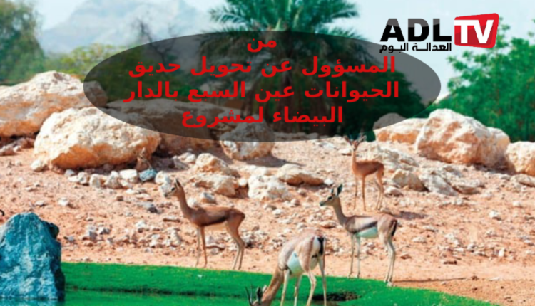 رفع واجبات ولوج حديقة الحيوان بعين السبع بالدار البيضاء بين المسؤوليات والجشع