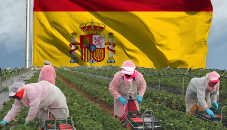إسبانيا تطلق برنامجًا جديدًا لعقود العمل