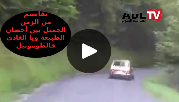 تقاسيم من الزمن الجميل بين عبق الطبيعة ورحلة "يا الغادي فالطوموبيل" + فيديو