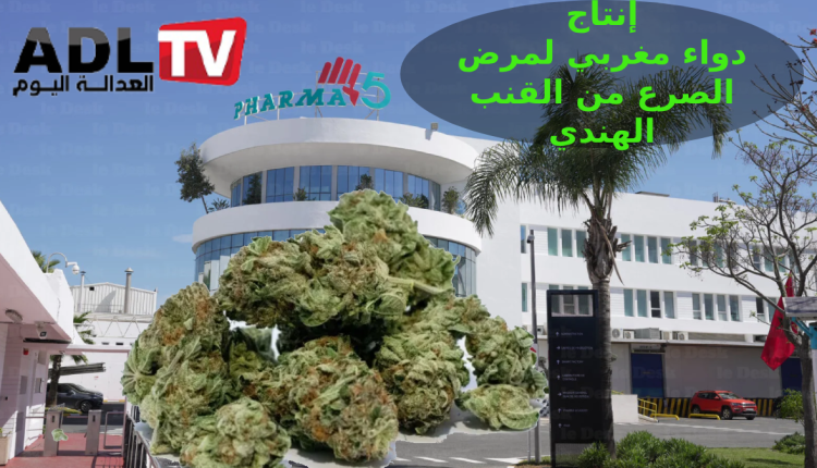 "فارما 5" تطرح أول دواء مغربي لعلاج الصرع مستخلص من القنب الهندي