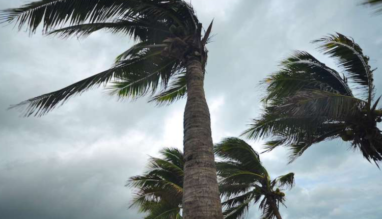 نشرة إنذارية: توقع هبوب رياح قوية بهاته المناطق من المغرب