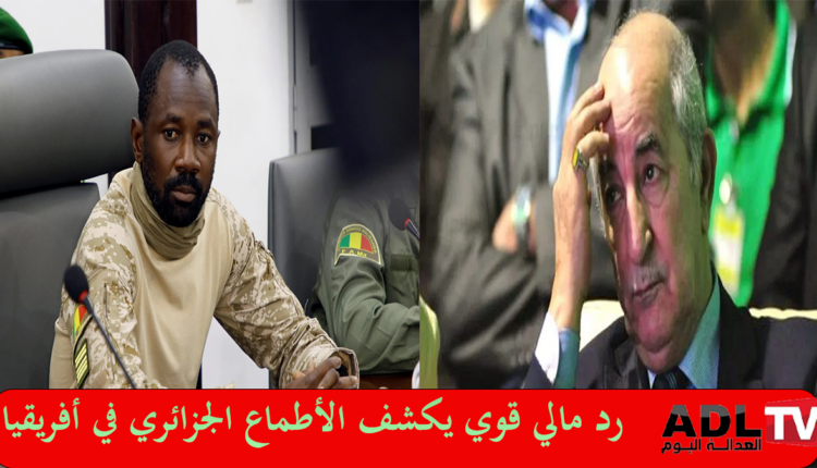 إفريقيا بين الأطماع وممارسة الإرهاب الجزائرية ورد "مالي" القوي المؤكد للسيادة