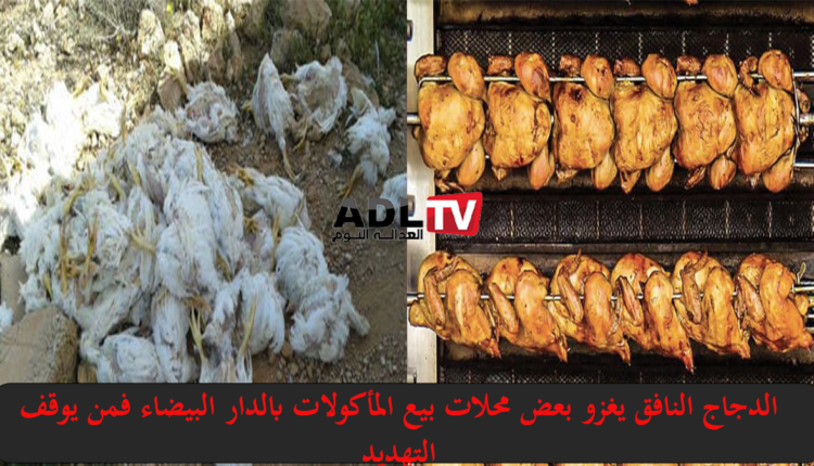 من يوقف انتشار توزيع الدجاج الميت لبعض مطاعم "الدار البيضاء"؟