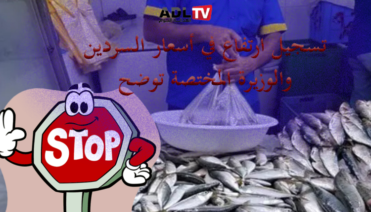 وزيرة الصيد البحري ب"المغرب" تفسر أسباب ارتفاع سعر السردين وتعلن عن حزمة قرارات