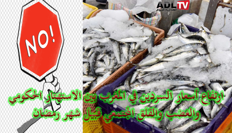 المغرب: تيهان حكومي وقلق شعبي من ارتفاع أسعار السردين قبيل شهر رمضان الأبرك