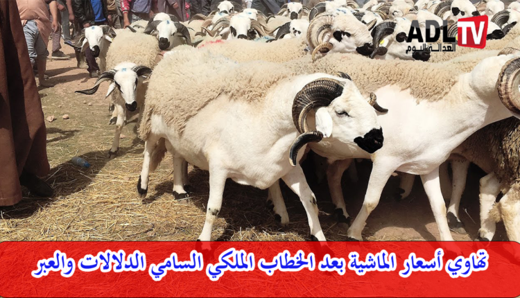 تهاوي أسعار الماشية بعد الأمر الملكي السامي الدلالات والعبر