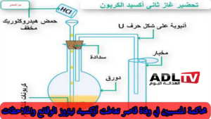 فضيحة غاز الضحك: مسؤوليات وإجراءات للحد من تكرار الحوادث المأساوية