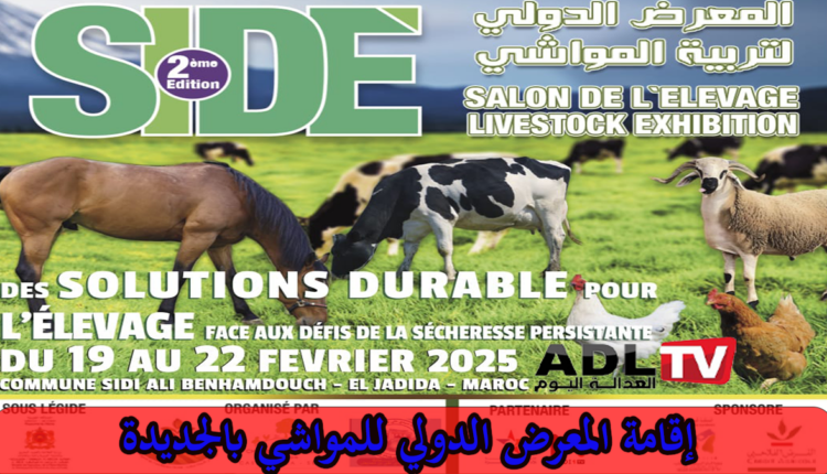 مدينة الجديدة تحتضن المعرض الدولي لتربية المواشي