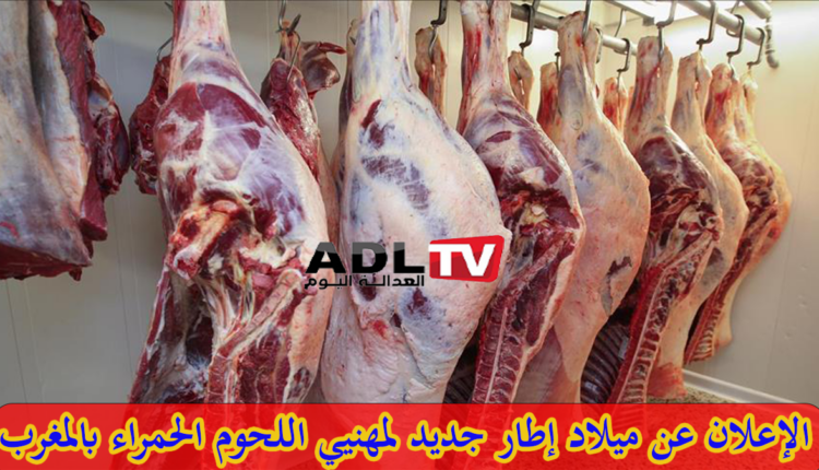 الإعلان عن تأسيس إطار جديد لمهنيي اللحوم الحمراء بالمغرب