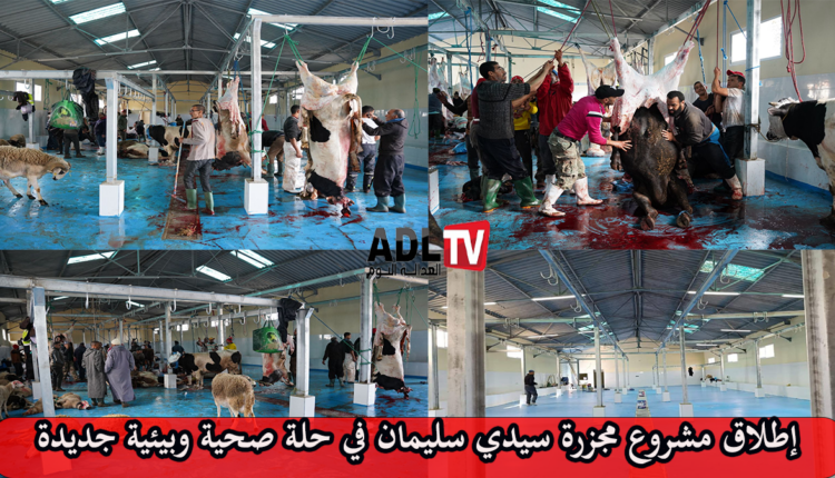 إطلاق مشروع مجزرة سيدي سليمان في حلة صحية وبيئية جديدة