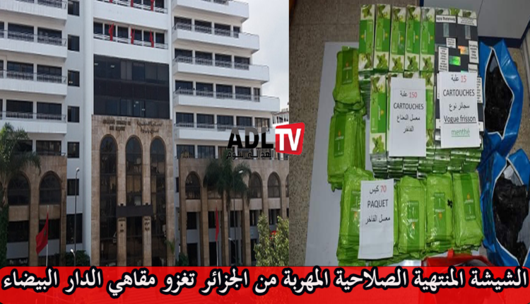 مقاطعة سيدي بليوط : انتشار مقاه تخرب صحة مرتاديها و مصالح المراقبة خارج التغطية 