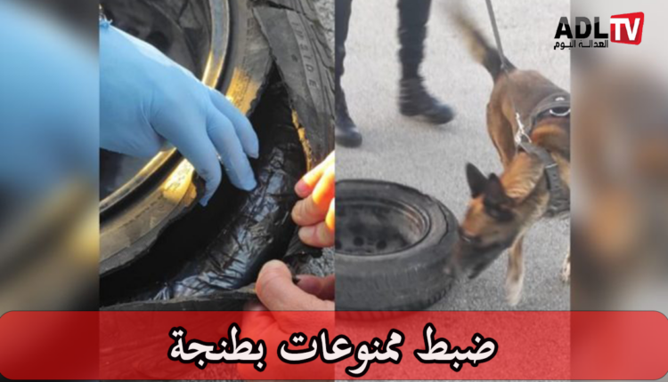 إحباط محاولة تهريب 34 كيلوغرامًا من مخدر الشيرا بميناء طنجة