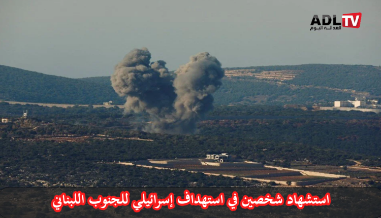 استشهاد شخصين جراء هجوم بطائرات مسيرة "إسرائيلية" على "جنوب لبنان"
