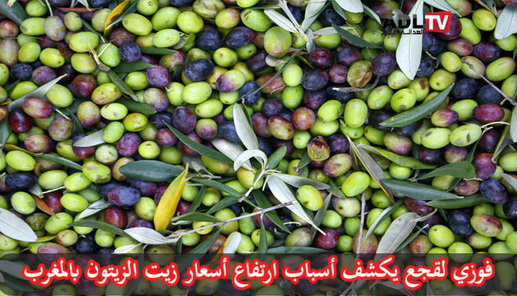 الحكومة تفسر أسباب ارتفاع أسعار زيت الزيتون في الأسواق المغربية