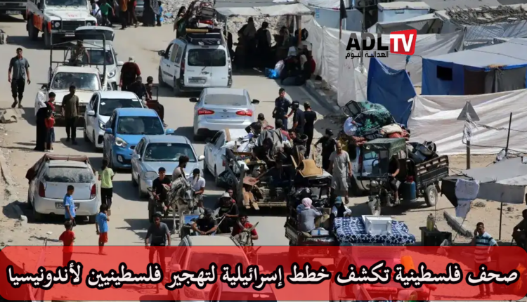 إعلام فلسطيني: خطة إسرائيلية لتهجير 100 مواطن من غزة إلى "إندونيسيا"