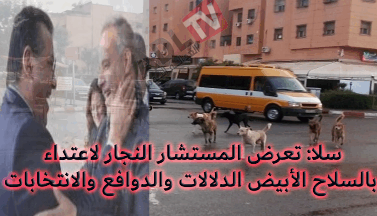 #الاعتداء على نائب عمدة "سلا" يبالسلاح الأبيض يفتح آلاف الأقواس حول الدوافع والخلفيات