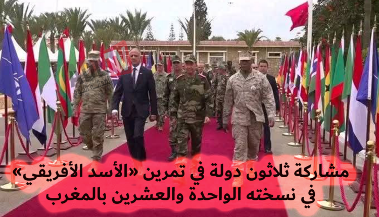 #مشاركة 30 دولة ضمن تمرين “الأسد الإفريقي 2025” المقامة بالمغرب خلال شهر ماي