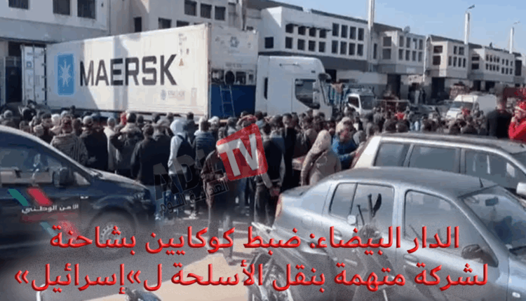 #إحباط تهريب الكوكايين وسط شحنة "أفوكادو" في "الدارالبيضاء"