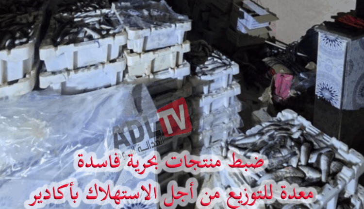أكادير: ضبط كمية كبيرة من السمك الفاسد في مخزن سري