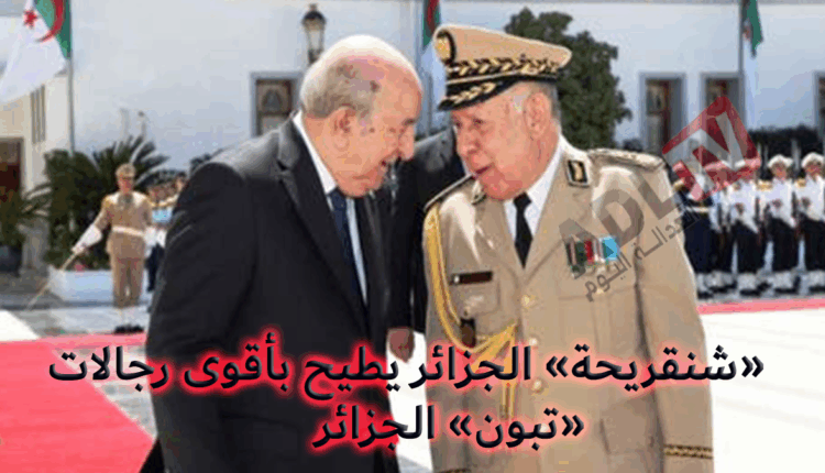 #الجزائر: "شنقريحة" يطيح بأقوى رجال الرئيس "تبون" داخل قصر "المرادية"‎
