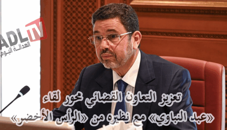 "عبد النباوي" يبحث مع نظيره بجمهورية الرأس الأخضر سبل تطوير التعاون القضائي