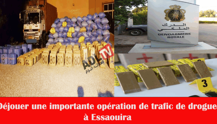 #درك "تنمار" ب"الصويرة" يحبط عملية كبرى لتهريب المخدرا