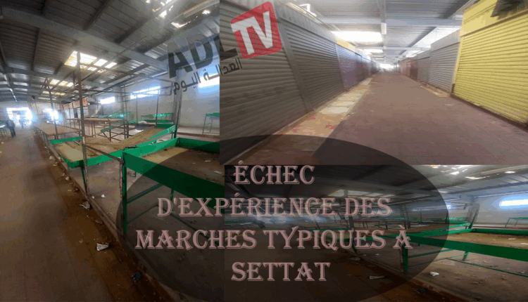 #العامل "حبوها" امام نحدي واختبار تجربة الأسواق النموذجية ب"سطات"