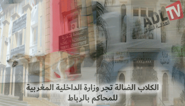 #المغرب: إقامة دعوى قضائية تاريخية ضد وزارة الداخلية بسبب قتل الكلاب والقطط