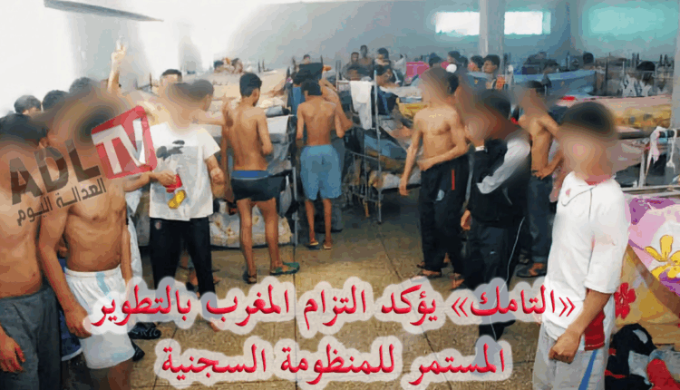 "التامك" يؤكد التزام المغرب بالتطوير المستمر للمنظومة السجنية