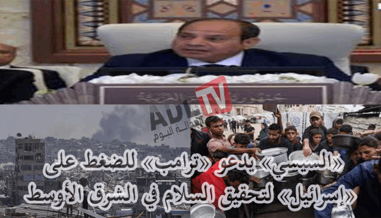 "السيسي" يطالب "ترامب" بالضغط على إسرائيل لتحقيق السلام