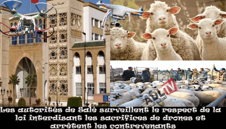 #سلطات سلا تراقب احترام قانون منع الأضاحي بواسطة الدرون وتضبط مخالفين