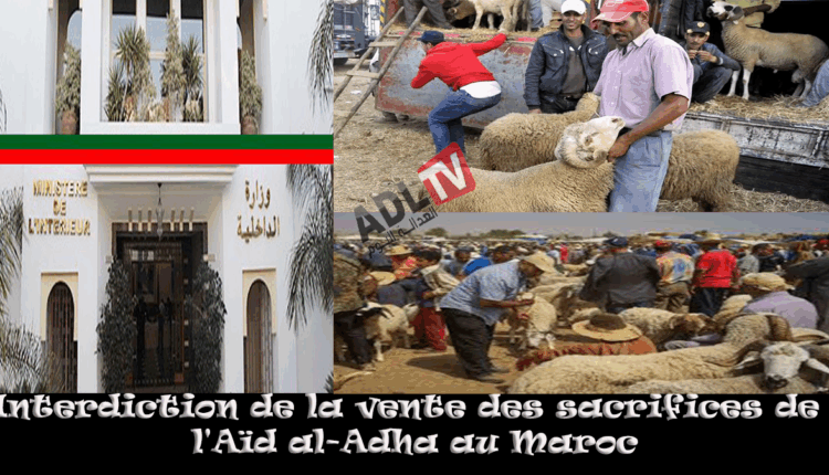 #منع شامل لتداول الأضاحي في "الدار البيضاء" وباقي الأقاليم المغربية