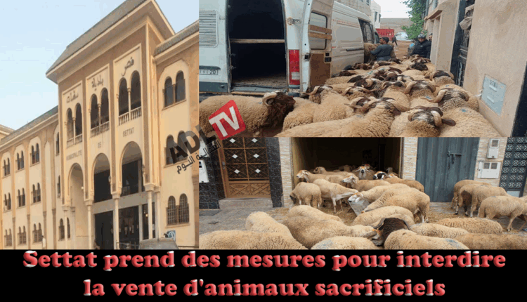 #عمالة "سطات" تشدد الخناف على الأسواق قبل ايام من عيد الاضحى
