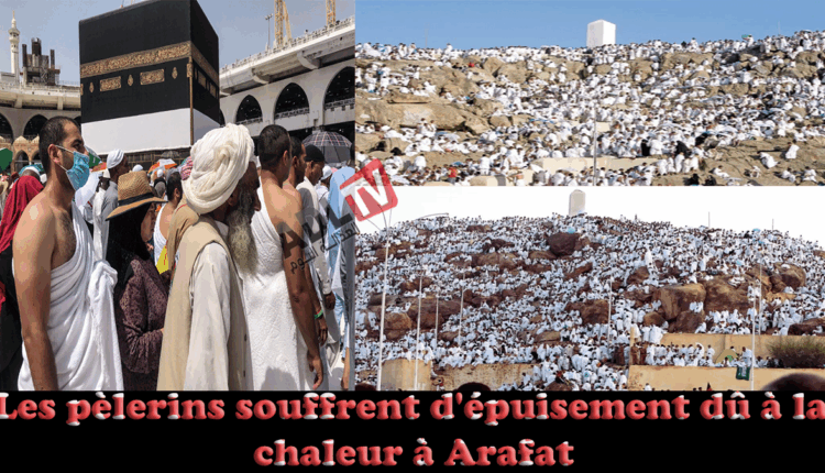#تسجيل إصابات بالإجهاد الحراري في "عرفة" يهدد سلامة الحجاج