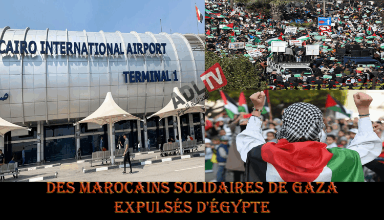 # مصر ترحّل مغاربة شاركوا في مسيرة داعمة لغزة