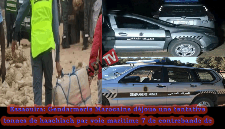 # الصويرة: الدرك يحبط محاولة لتهريب 7 أطنان من مخدر الشيرا عبر المسالك البحرية