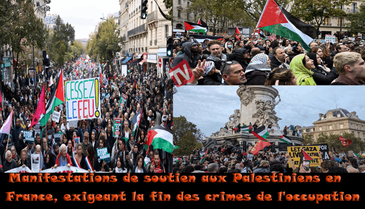 # مظاهرات دعم للفلسطينيين في فرنسا مطالبة بوقف جرائم الاحتلال