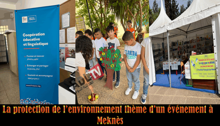 La protection de l’environnement thème d'un événement à Meknès