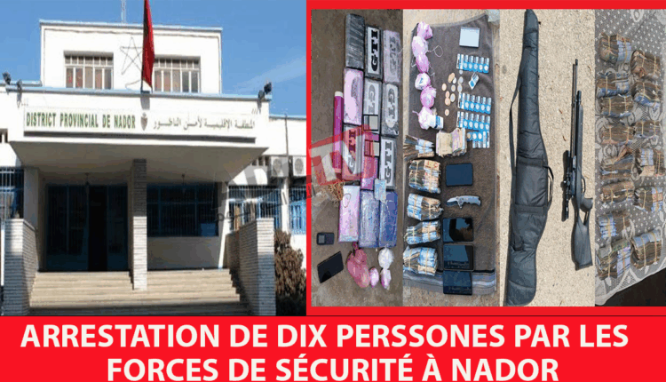 # نجاح أمني في تفكيك شبكة لترويج المخدرات بالناظور